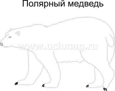 Полярные животные | Учим животных | Развивающие мультики для детей | Животные  севера | Занимательный досуг | Дзен