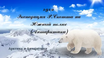 Проект «Животные Северного и Южного полюса» (7 фото). Воспитателям детских  садов, школьным учителям и педагогам - Маам.ру