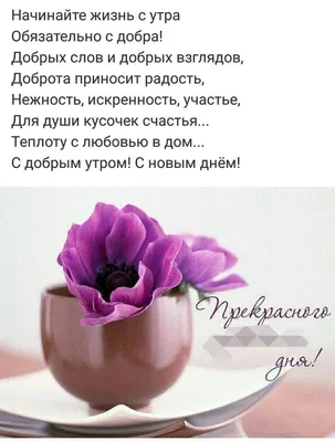 https://www.tiktok.com/@murzina132/video/7331745602897988910