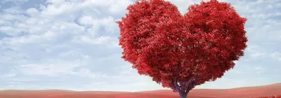 Ученые доказали: любовь лечит и продлевает жизнь - KP.RU
