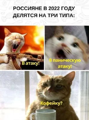 3 сентября: прикольные картинки, шутки и мемы с Шуфутинским | OBOZ.UA