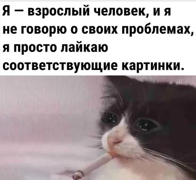 Кружка Сувенириус \"Прикольные надписи После 40 жизнь только начинается\",  330 мл, 1 шт - купить по доступным ценам в интернет-магазине OZON  (334074815)