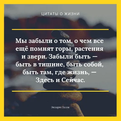 Самые мудрые притчи и афоризмы Омара Хайяма, , Омар Хайям – скачать книгу  бесплатно fb2, epub, pdf на ЛитРес