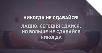 Жизнеутверждающие картинки для поднятия настроения (43 фото) » Юмор,  позитив и много смешных картинок