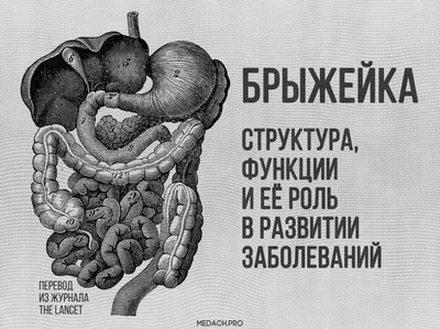 Медицинский центр Арт Мед - Интересные факты о ЖКТ🤓🌷 ⠀ 🌿Пищеварительная  система человека уникальная - благодаря неустанной работе органов ЖКТ весь  организм получает необходимые питательные вещества. Поэтому не нужно иметь  медицинского образования,