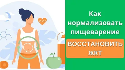 Визуализация Кишечника На Теле Женщины — стоковые фотографии и другие  картинки Кишечник - Кишечник, Здоровый образ жизни, Пищеварительная система  - iStock