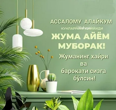 Жума табриги: фото впечатляющих праздников и мероприятий - pictx.ru