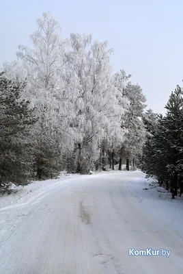 Фото жизнь - Елена - природа - Зима вернулась