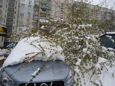 Зима вернулась! А значит можно делать классные уличные съёмки 😉 | Instagram