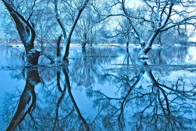 Зима пришла 🥶 реалистичное фото, …» — создано в Шедевруме