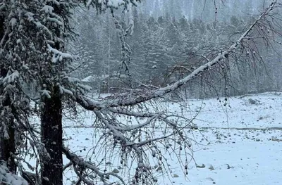 Зима вернулась в Ставрополь и раскрыла снежные объятья - Stavropol.Media