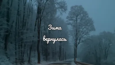 Зима вернулась: на экскурсионных объектах Кавказского заповедника вновь  взялись за лопаты | Кавказский государственный природный биосферный  заповедник имени Х.Г.Шапошникова