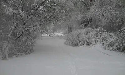 Зима вернулась