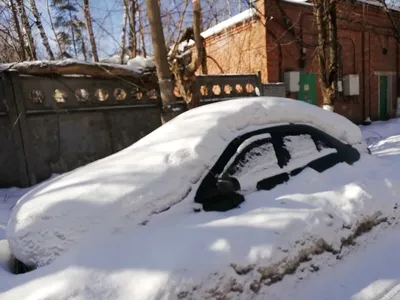 Погода недели: зима вернулась с морозцем и снегом