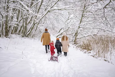Дети Играют В Снегу Зимняя Поездка На Санях Для Детей — стоковые фотографии  и другие картинки Ребёнок - iStock
