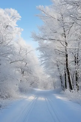 Заставка на экран зима - фото и картинки: 75 штук