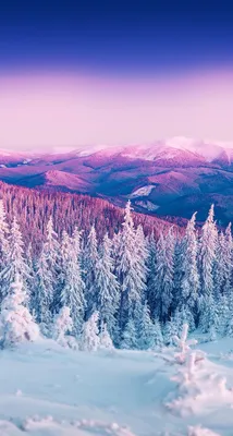 Красивые зимние картинки на телефон (69 фото) ⭐ Все мемы на одном сайте |  Iphone wallpaper winter, Wallpaper iphone christmas, Winter wallpaper