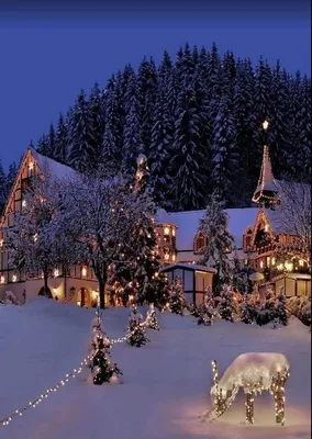 Новогодние обои | Christmas scenery, Winter pictures, Winter scenery