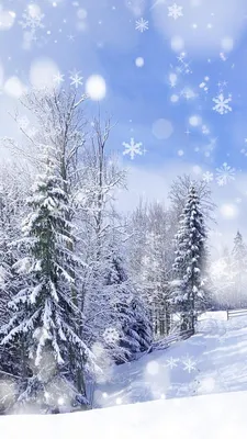 Snowy Winter Forest Wallpaper Mural - Murals Your Way