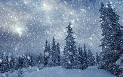 [65+] Зимние картинки падают снежинки обои