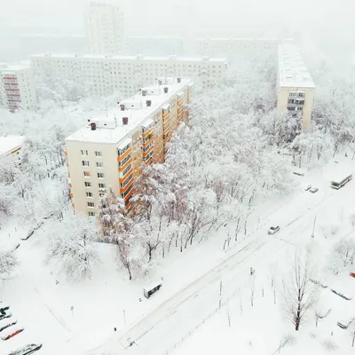 Зимний пейзаж\" Фотообои изготовим точно под размер вашей стены. Купить.