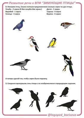 Зимующие птицы России - карточки Монтессори купить и скачать