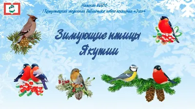 Зимующие птицы. А2. купить оптом в Екатеринбурге от 39 руб. Люмна