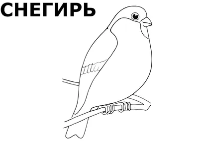 Рисунок Зимующие птицы №43845 - «Зимняя сказка» (07.01.2024 - 13:17)