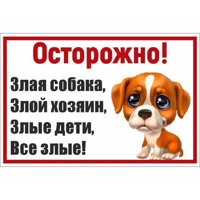 Уважаемый админ всемогущей группы злой кировчанин, можно опубликовать  искренний, добрый пост. Хочу выразить огромную.. | ВКонтакте