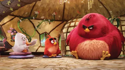 Злые Птички в кино - Angry Birds в кино - YouLoveIt.ru