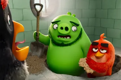 Детский игровой набор Злые Птички / игрушка Angry Birds развивающая с  рогаткой, 7шт - купить с доставкой по выгодным ценам в интернет-магазине  OZON (835867712)