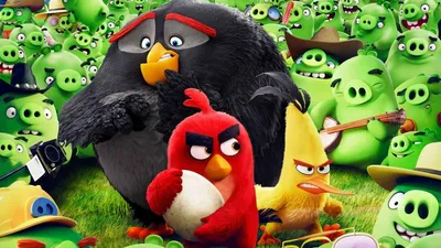 Злые птички - Энгри Бердс - Поющие яйца (S1E5) || Angry birds Toons -  YouTube
