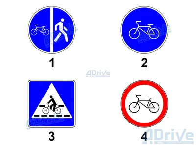 File:Раскрашенный знак \"Велосипедная дорожка\".jpg - Wikimedia Commons