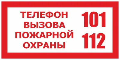 Сохраньте знак леса Рука держит символ дерева Иллюстрация вектора -  иллюстрации насчитывающей давать, творческо: 90908042