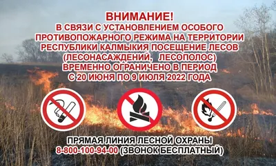 Безопасное поведение при пожаре в лесу