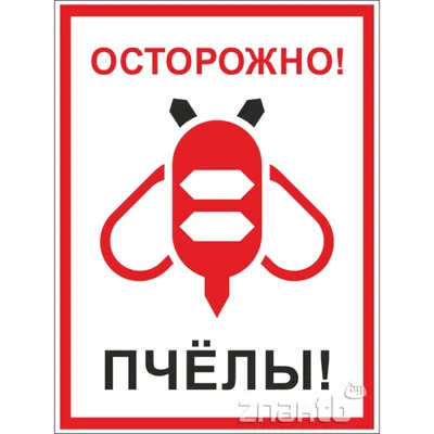 Правила пожарной безопасности в лесах | Администрация Городского округа  Подольск