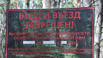 Картинки запрещающие знаки в природе (70 фото) » Картинки и статусы про  окружающий мир вокруг