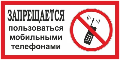 На страже природы: как организована работа в пожароопасный период в  лесхозах Витебской области