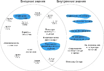 Бесплатное изображение: Библиотека, мудрость, знания, книжный шкаф, книги,  литература, университет