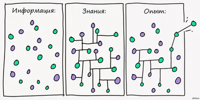 Как освоить систему непрерывного обучения и каждый день получать новые  знания - Лайфхакер