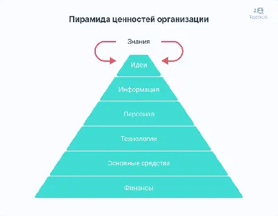 Цитаты про знания — 42 красивые цитаты о знаниях от великих людей,  мыслителей и бизнесменов