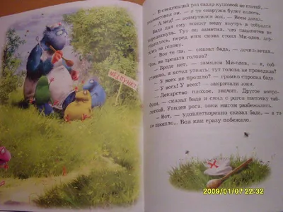 Зоки и Бада - Vilki Books