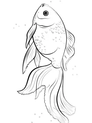 Раскраска Золотая рыбка | Раскраски для самых-самых маленьких (2-3 года)