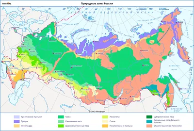 Окружающий мир 4 класс ч.1, тема урока \"Зона арктических пустынь\", с.76-83,  Школа России - YouTube