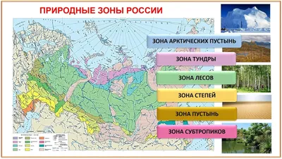 Зона степей» — создано в Шедевруме