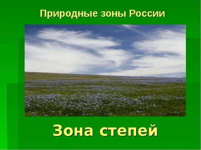 Лесостепи и степи. Полупустыни, пустыни, субтропики | География 8 класс