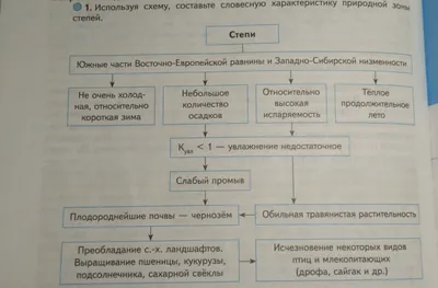 Флора и фауна степей и лесостепей | Победить ЕГЭ и ОГЭ 👈Подпишись — это  полезно! | Дзен