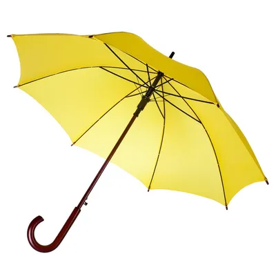 Зонт картинка обои