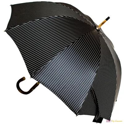 Fulton G820-01 Black Мужской зонт купить в интернет-магазине New Sity