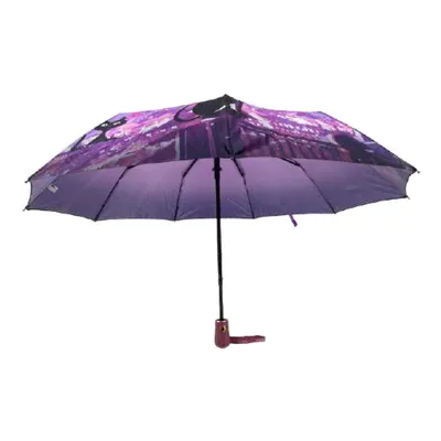 Зонт-секьюрити - Зонты оптом